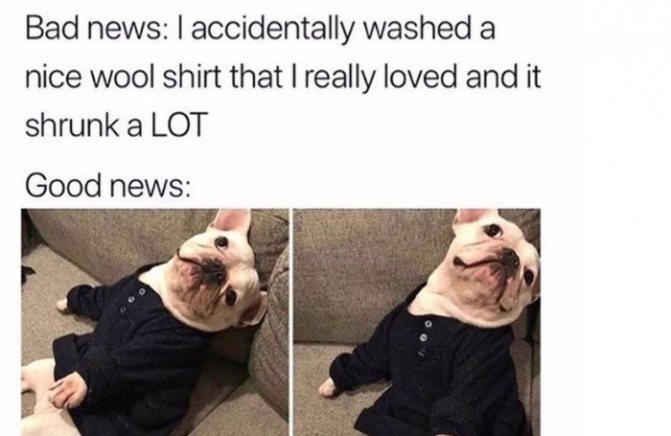 Une collection de mèmes en anglais, image 32