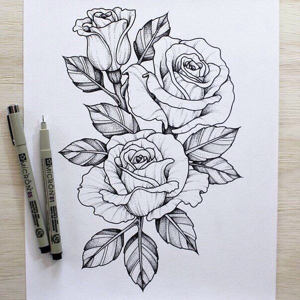 Similar designs sketches for tattoos in the form of a rose are quite popular