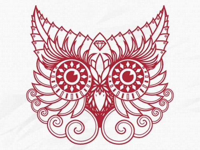 portrait d'une chouette