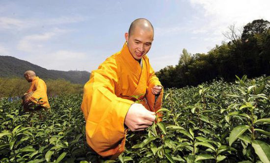 Neuling auf dem Gebiet