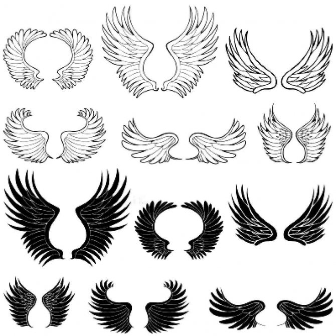 Great sketches for tattoo wings