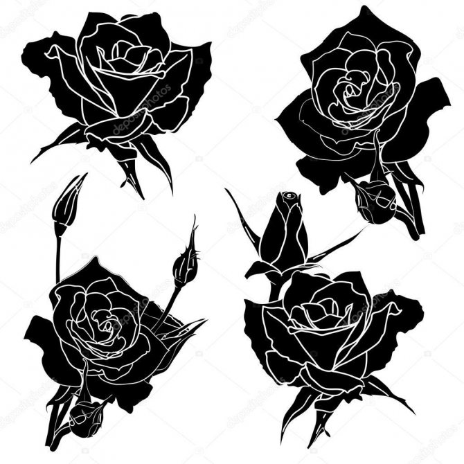 Hermosos diseños de tatuajes de rosas