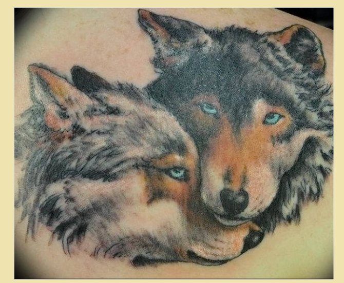 Пример за скица на мъжка скица