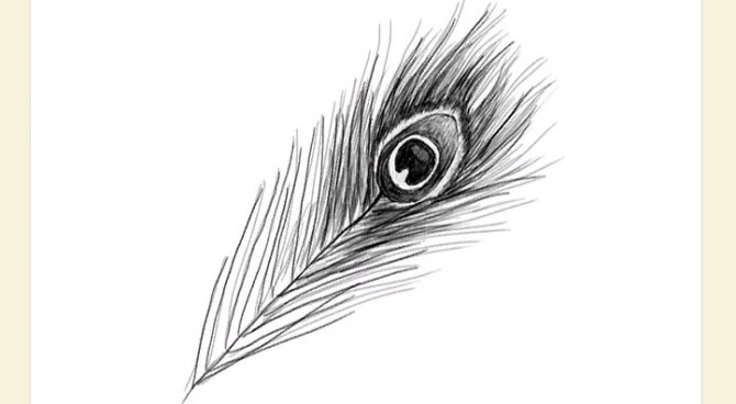 Dessinez les poils plus clairement au crayon et à la peinture.