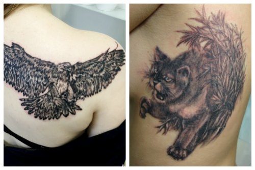 A bird and a cat on a woman's body
