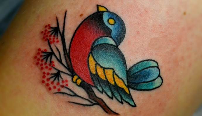 Oiseau sur une branche d'un sorbier