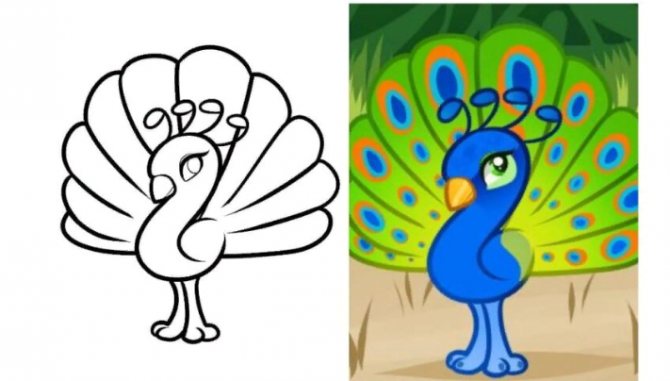 Paon pour débutants - dessin au crayon