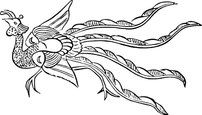 鳥、火の鳥、神話、鉛筆、デッサン、スケッチ