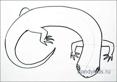 Zbarvení Salamander