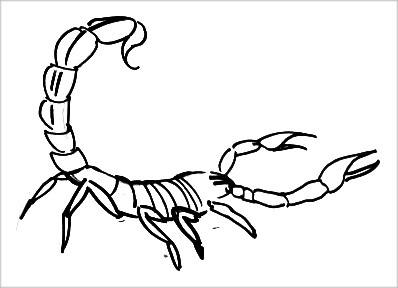 Coloriage Scorpion