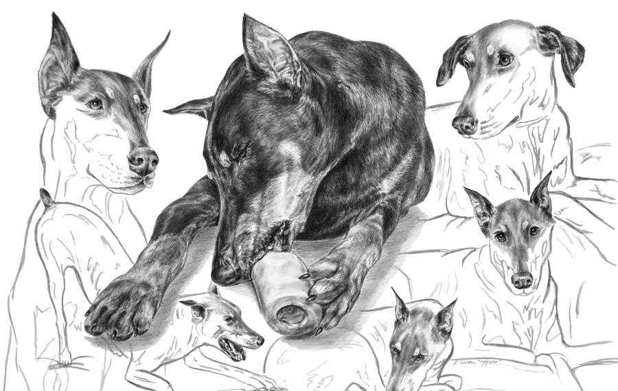 Διαφορετικές στάσεις