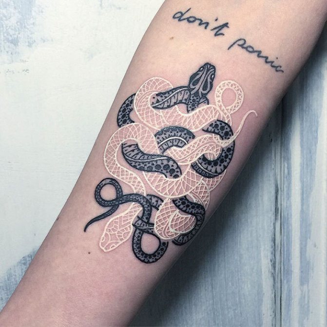 Différents tatouages de serpent