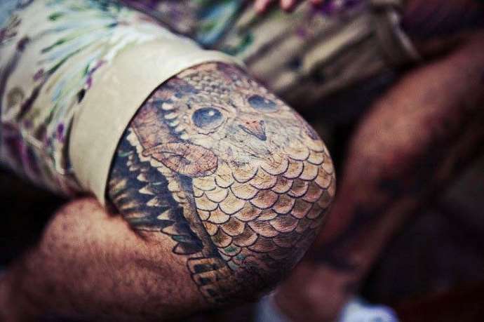 immagine realistica di un gufo