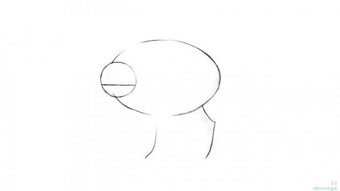 dessiner un sanglier