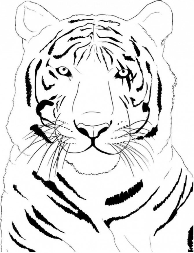 Dessiner des images avec l'année 2022 Tigre