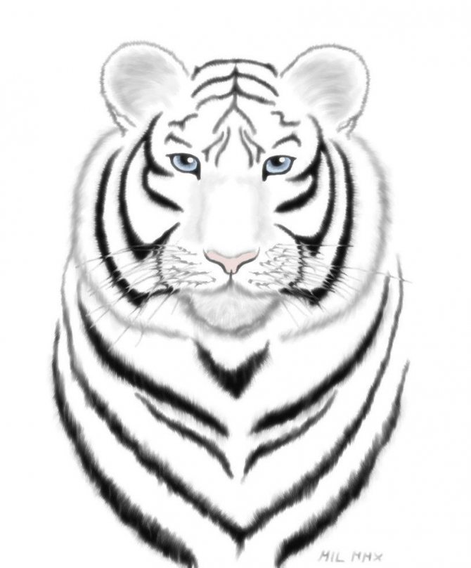 Dessins pour colorier le symbole de 2022 - Tigre