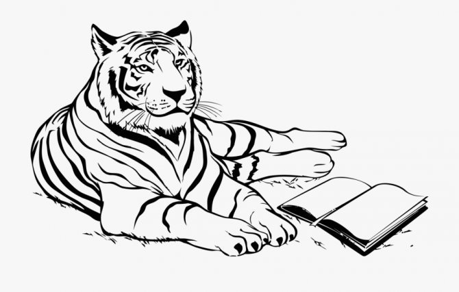 Dessins pour le dessin avec le symbole de 2022 - Tigre