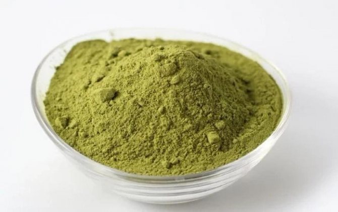 Stencil käsi henna piirustuksia aloittelijoille