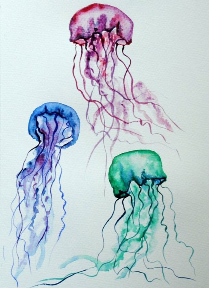 Jellyfish drawings useful for tattooing