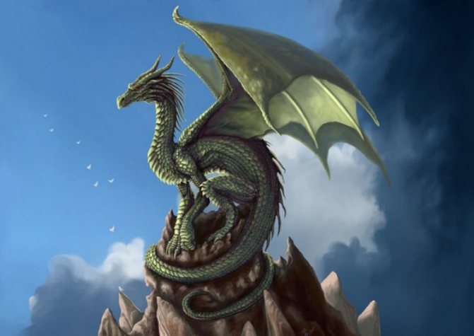 Dragon Picture