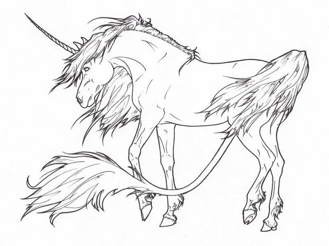 dessin de licorne