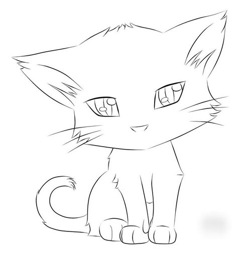dessin de chaton