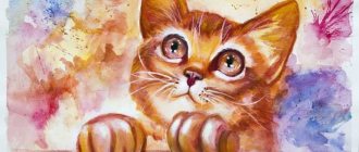 dessin à l'encre d'un chaton