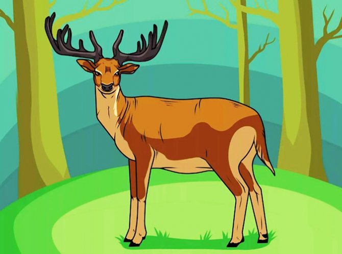 Dessin au crayon d'un cerf pour enfants : coloré, noir et blanc : nordique, Nouvel An, géométrique, forêt