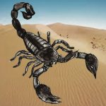 Dessiner un scorpion au crayon