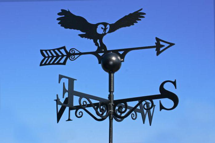 wind rose what is it