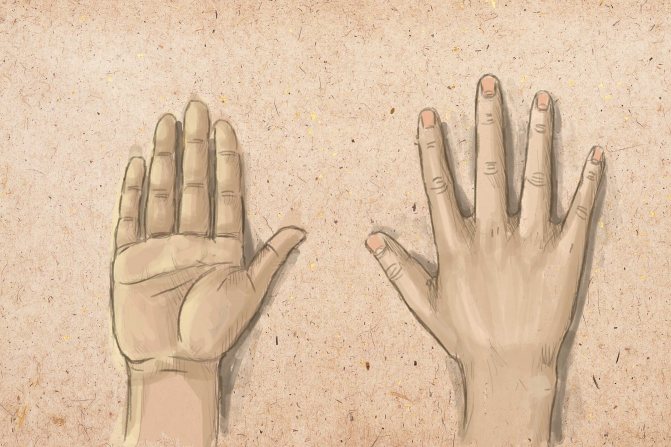 Käsitsi joonistamine samm-sammult