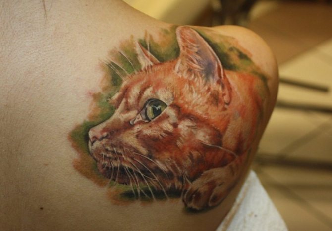 Tatouage de chat rouge