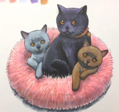 avec des chatons sur un lit de camp