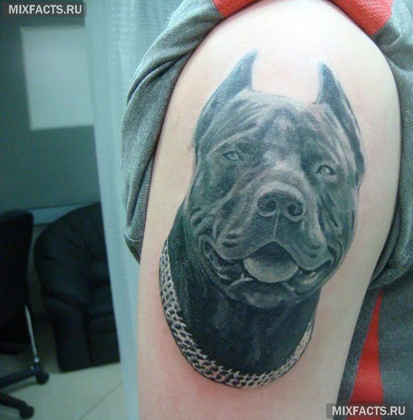 Kõige populaarsemad meeste tätoveeringud ja nende tähendused