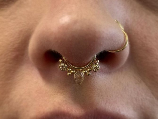 septum