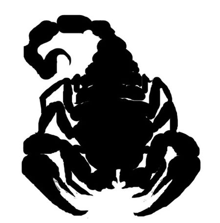 Silhouette d'un scorpion
