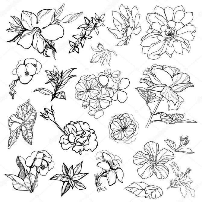 Cute sketches for a flower tattoo