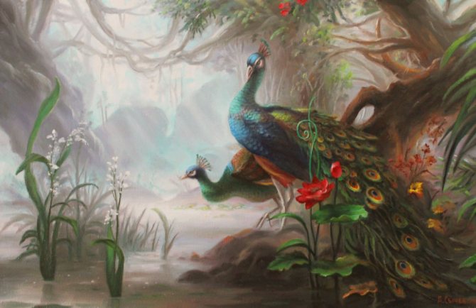 symbole du paon feng shui