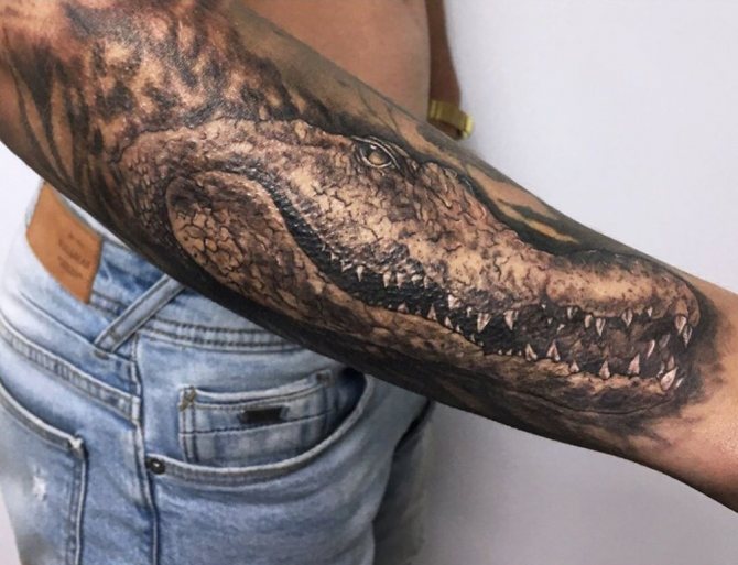 le symbole de la volonté