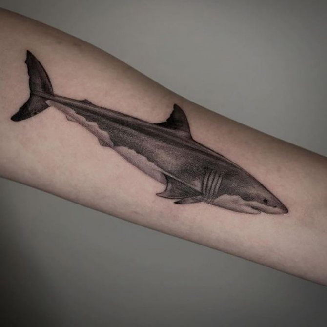 imágenes del símbolo de la libertad