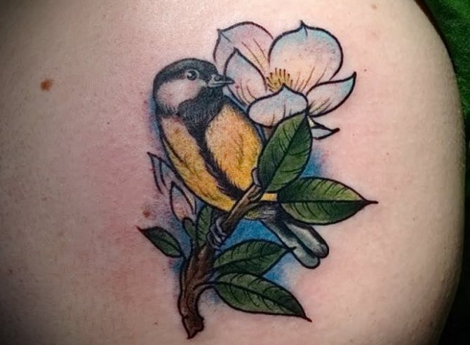 Mésange sur une branche