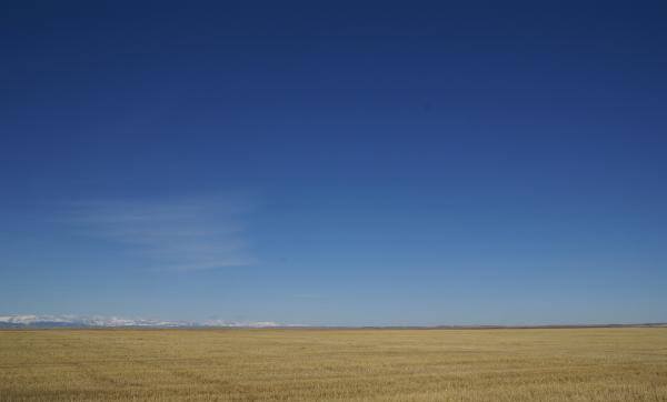 modrá (600x362, 81Kb)