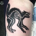 σκελετός ζώου