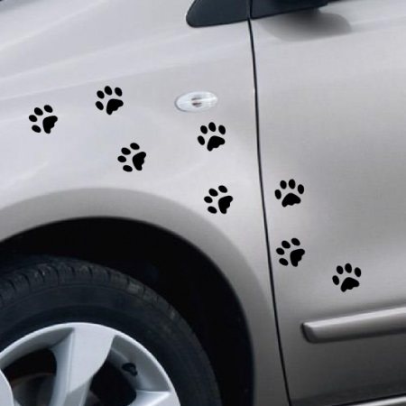 Αποτυπώματα πατούσας γάτας