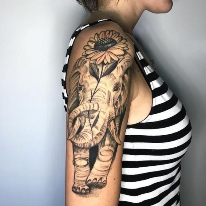 símbolo del elefante