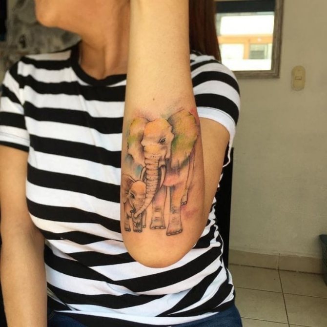 significado de elefante