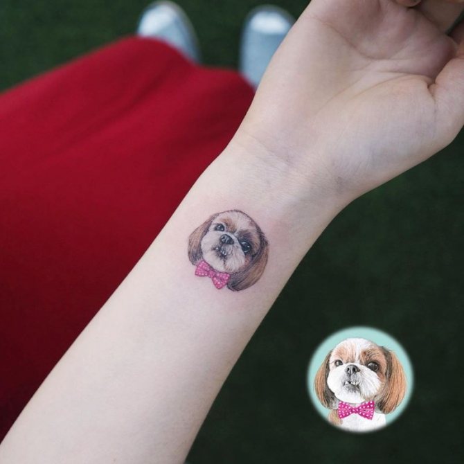 quel âge faut-il avoir pour se faire tatouer ?