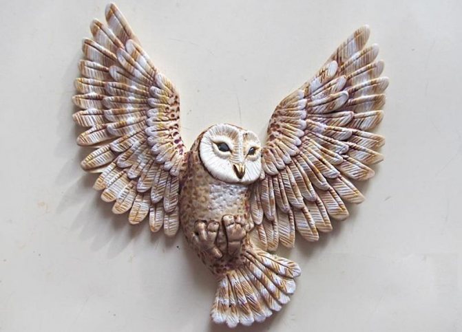 Une chouette aux ailes ouvertes