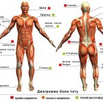 Съвети: Места за татуиране