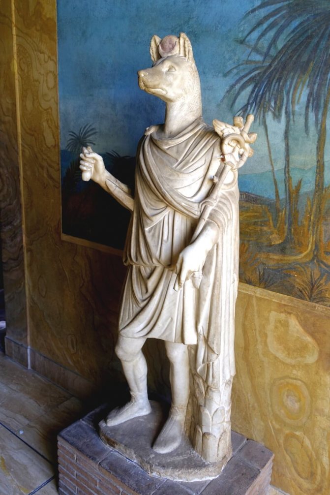 Statue d'Anubis au Vatican, découverte à Anzio sur un terrain appartenant à la famille Pamphilius en 1749, offerte au pape Benoît XIV et donnée au Musée égyptien grégorien en 1839.